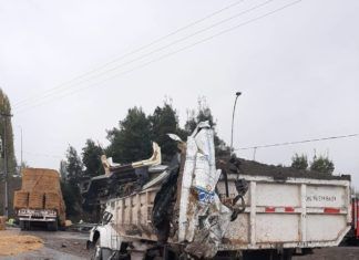 Un hombre de 62 años fue la víctima fatal de violento accidente de tránsito ocurrido en la Ruta 5 Sur