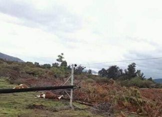LOS EFECTOS DEL TEMPORAL EN LA PROVINCIA DE CURICO Y TALCA