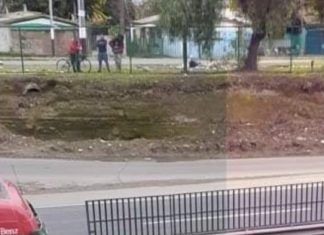 MUERE HOMBRE ATROPELLADO EN LA RUTA 5 SUR , KILÓMETRO 253 A LA ALTURA DE CALLE 2 NORTE