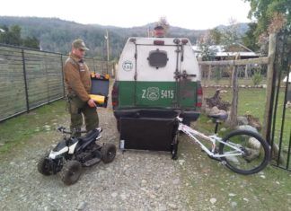 CARABINEROS DETIENE A SUJETO POR ROBO DESDE DOMICILIO EN VEGA ANCOA.