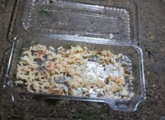 VECINOS DE VILLA LOS PRESIDENTES DENUNCIAN QUE ESTÁN ENVENENANDO A SUS MASCOTAS