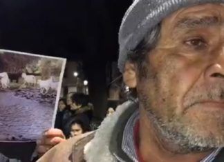 Las postales que deja la masiva manifestación por las calles de Linares para exigir JUSTICIA POR CASOS IMPUNES