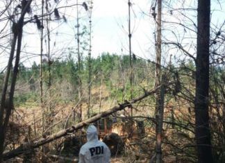 MUERTE ACCIDENTAL EN CAUQUENES