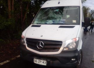 CAIDA DE ARBOL SOBRE FURGON ESCOLAR EN LONGAVI